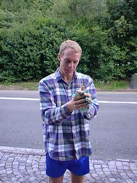 wpe2.jpg (42176 bytes)
